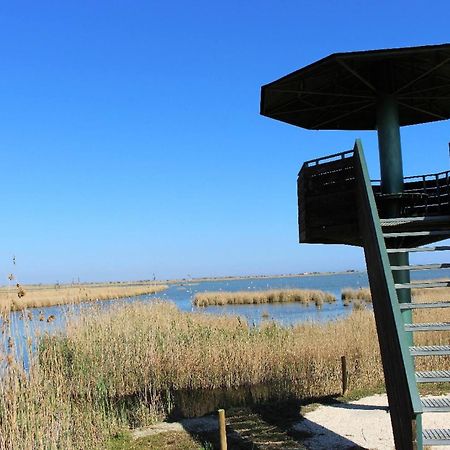 Quet - Casa Rural Con Piscina Privada En El Delta Del Ebro - Deltavacaciones Deltebre Bagian luar foto