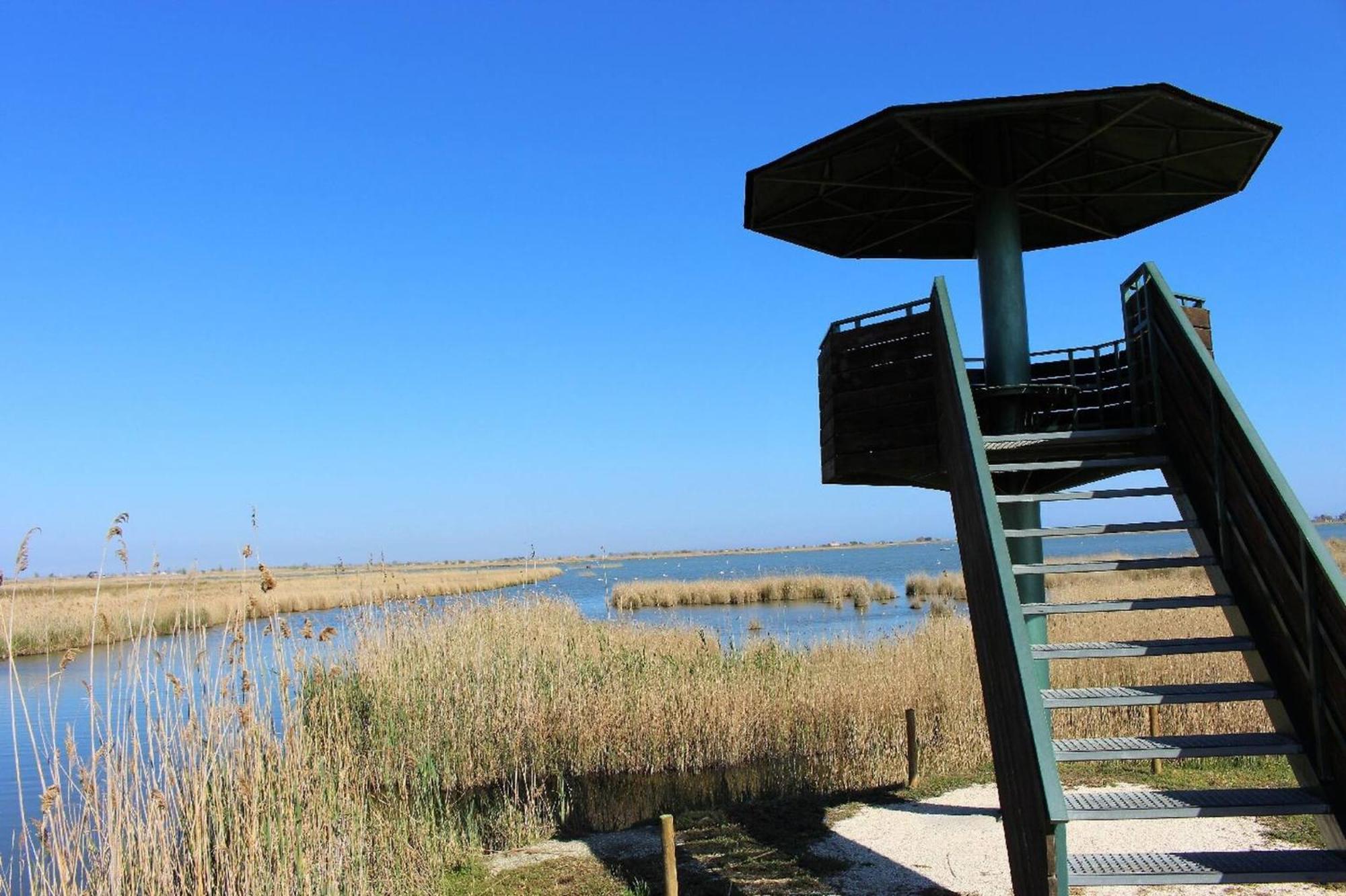 Quet - Casa Rural Con Piscina Privada En El Delta Del Ebro - Deltavacaciones Deltebre Bagian luar foto